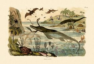 Prehistoric Animals, 1833-39